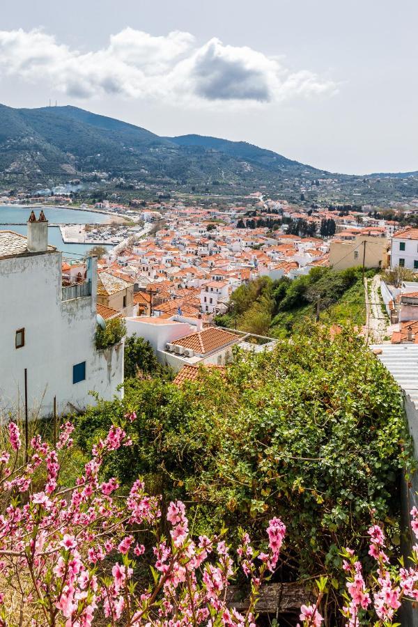 Vasia House Città di Skopelos Esterno foto